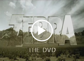 Zebra DVD Promo